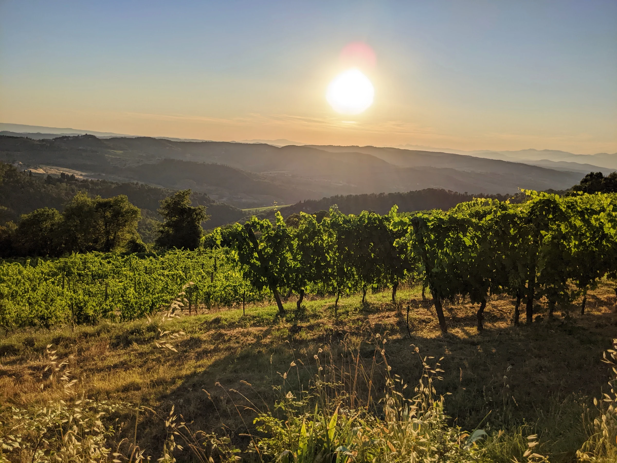 Il tramonto sui vigneti del Chianti, Toscana